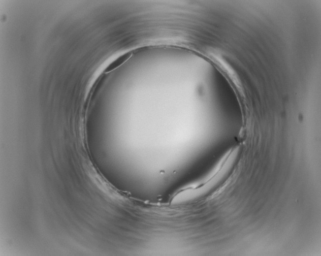 X0000062921340200602031912