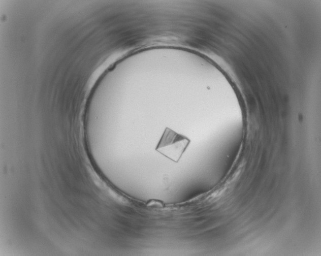 X0000062921341200602031912