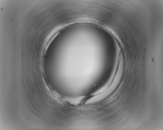 X0000062921342200602031912