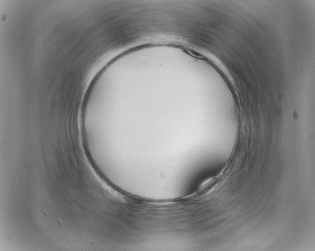 X0000062921343200602031912