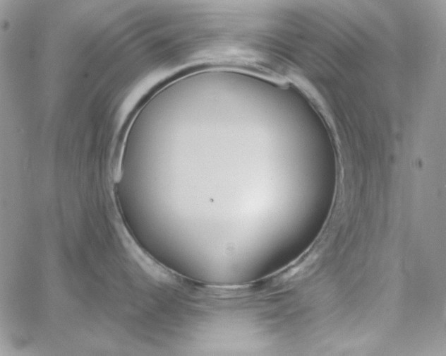 X0000062921344200602031912