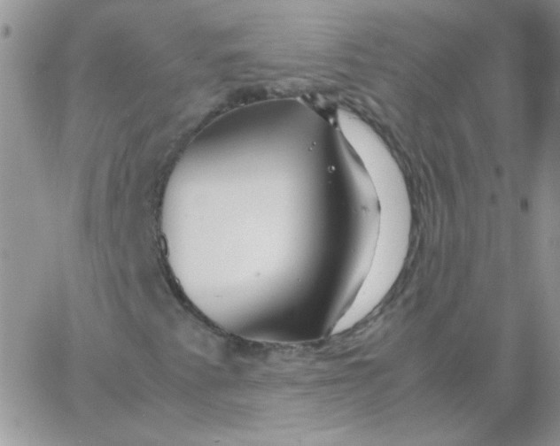 X0000062921345200602031912