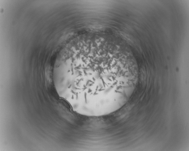 X0000062921346200602031912