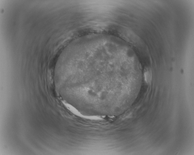 X0000062921347200602031912