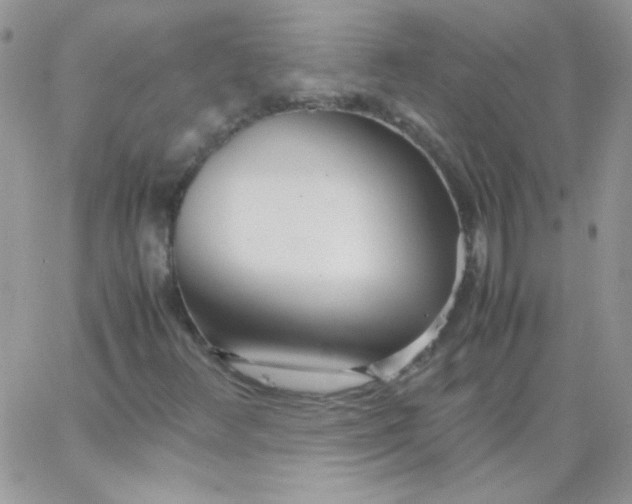 X0000062921348200602031912