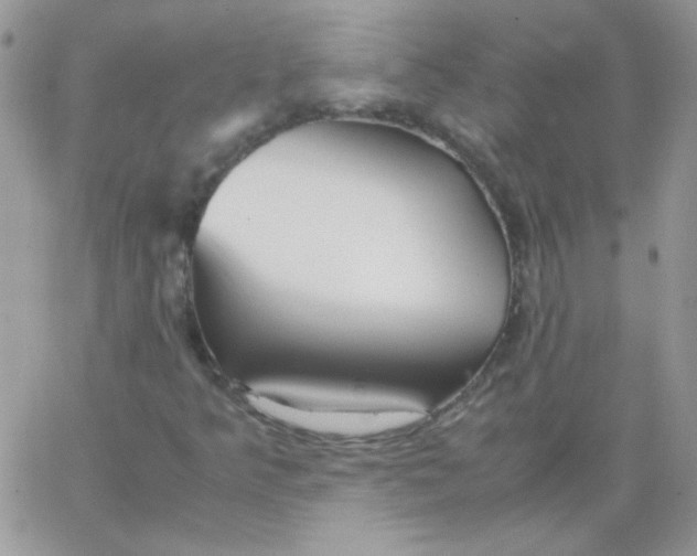 X0000062921349200602031912