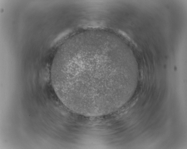 X0000062921350200602031911