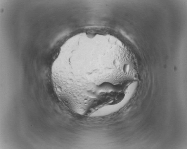 X0000062921351200602031911