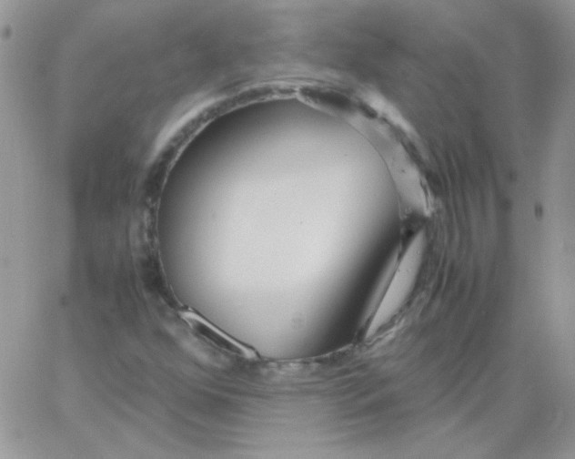 X0000062921352200602031911