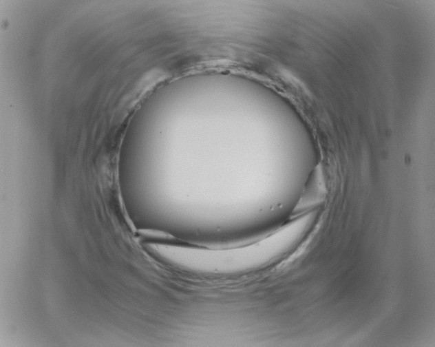 X0000062921353200602031911