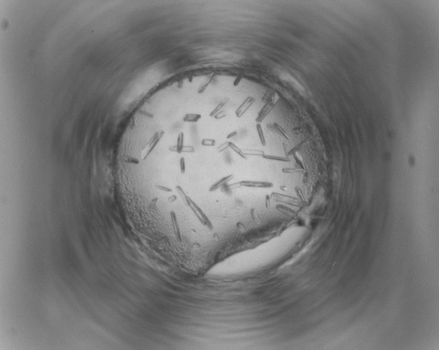 X0000062921354200602031911