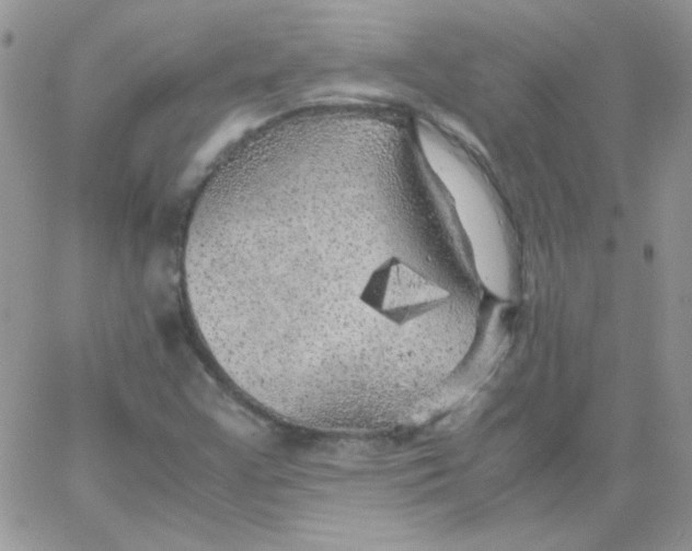 X0000062921355200602031911