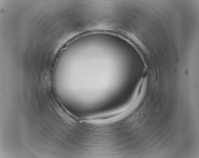 X0000062921356200602031911