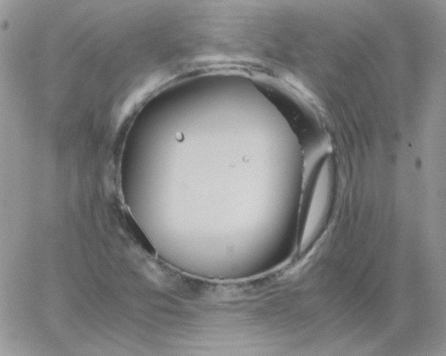 X0000062921357200602031911