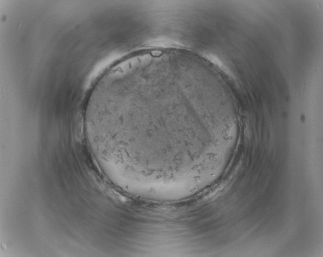 X0000062921358200602031911