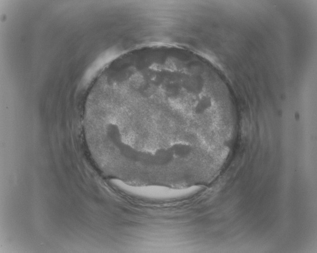 X0000062921359200602031911