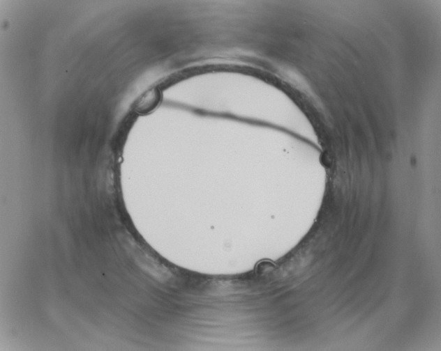 X0000062921360200602031911