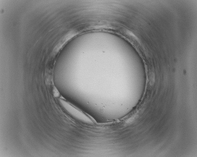 X0000062921361200602031911