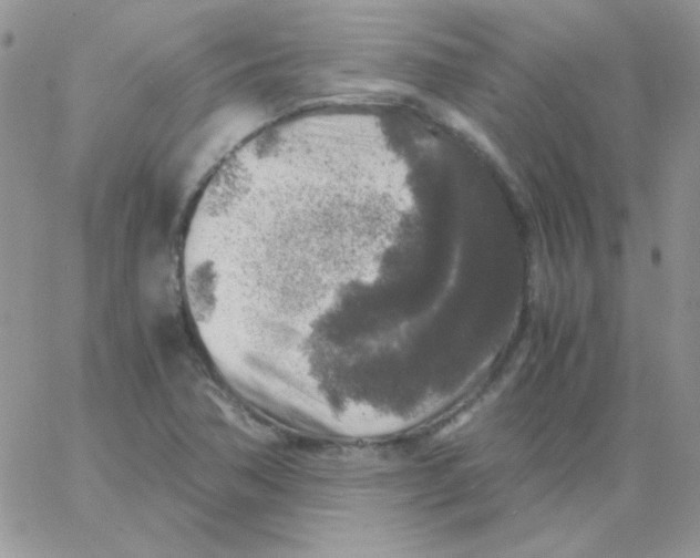 X0000062921362200602031911