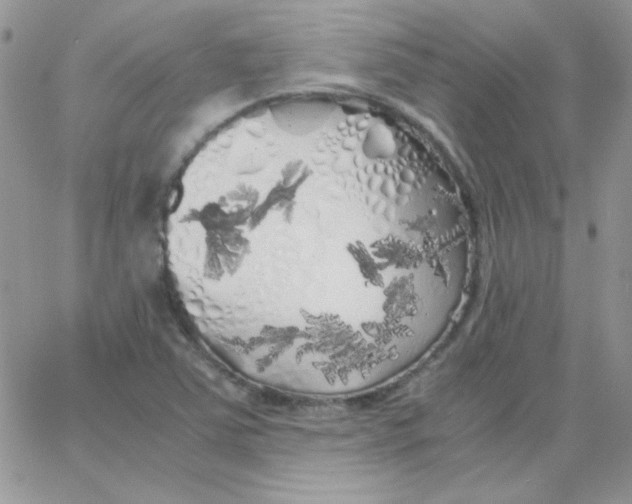 X0000062921363200602031911