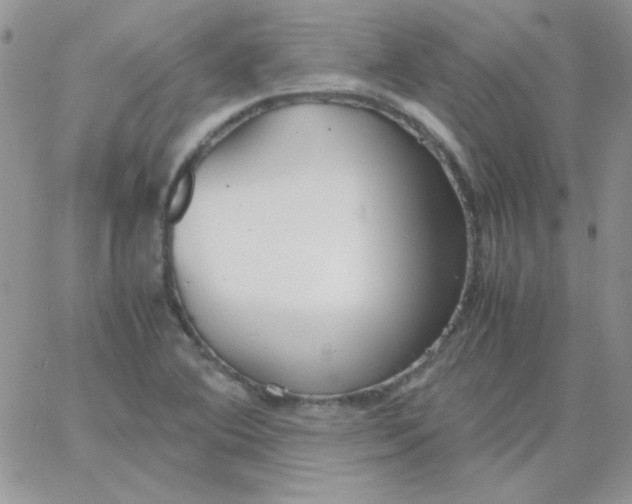 X0000062921364200602031911