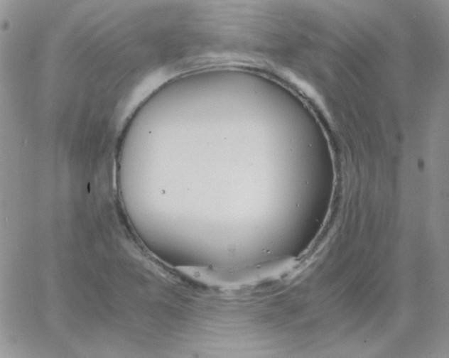 X0000062921365200602031911