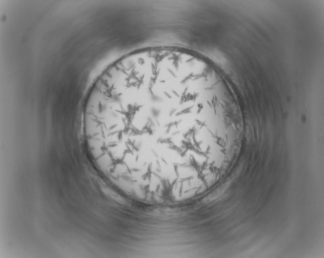 X0000062921366200602031911