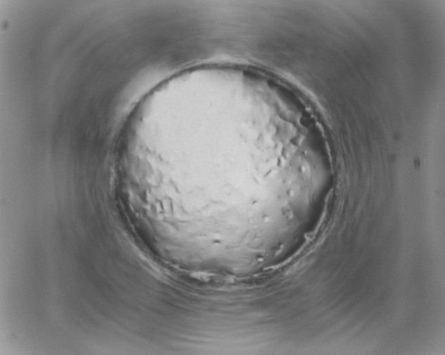 X0000062921367200602031911