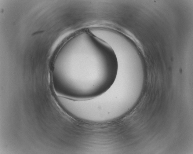 X0000062921368200602031911