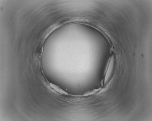 X0000062921369200602031911