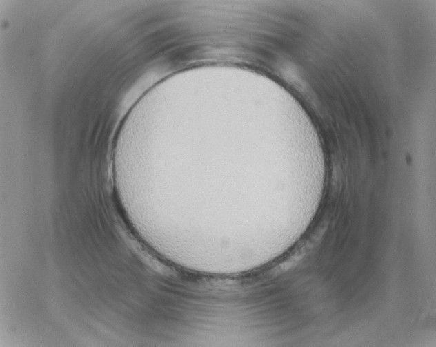 X0000062921370200602031911