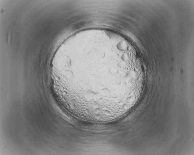 X0000062921371200602031911