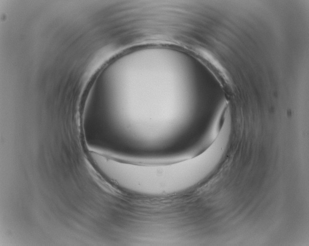 X0000062921372200602031911