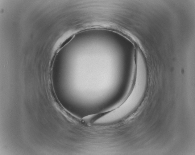 X0000062921373200602031911