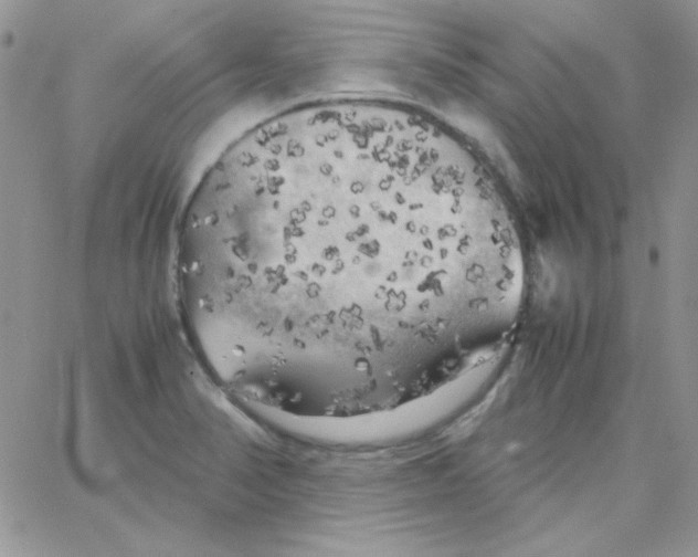 X0000062921374200602031911