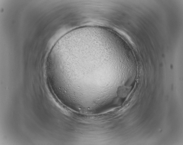 X0000062921375200602031911