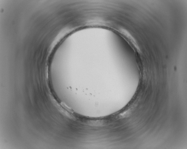 X0000062921376200602031911