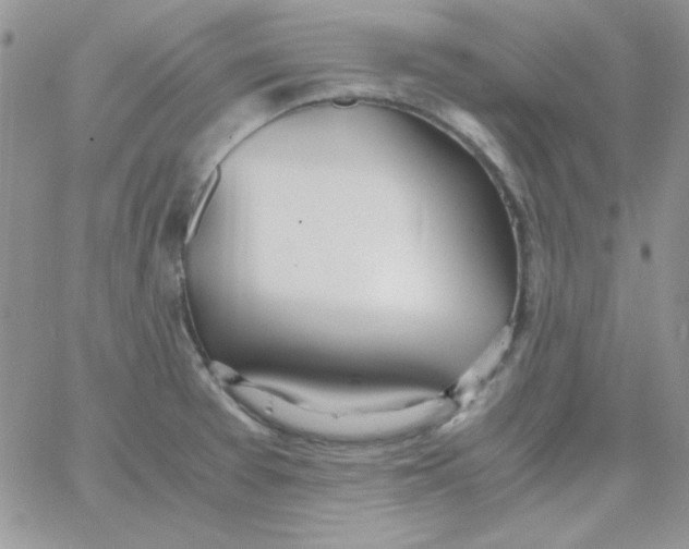 X0000062921377200602031911