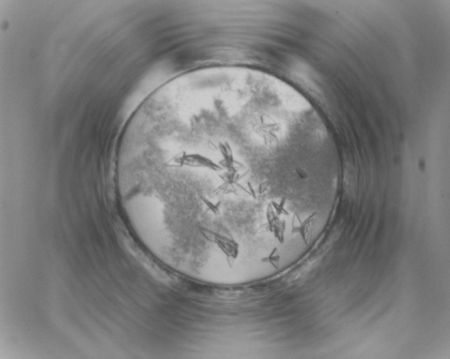 X0000062921378200602031911