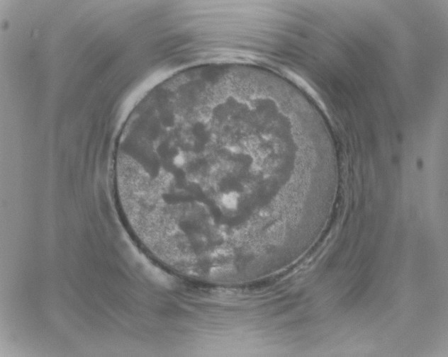 X0000062921379200602031911