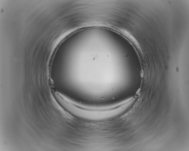 X0000062921380200602031911