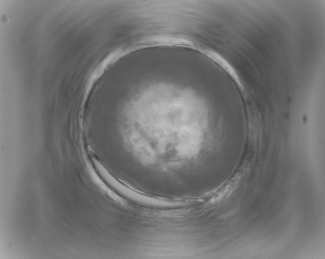 X0000062921381200602031911