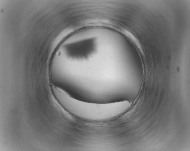 X0000062921384200602031911