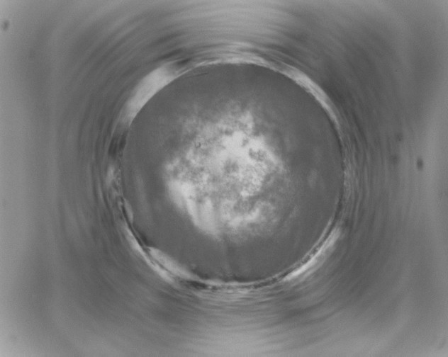 X0000062921385200602031911