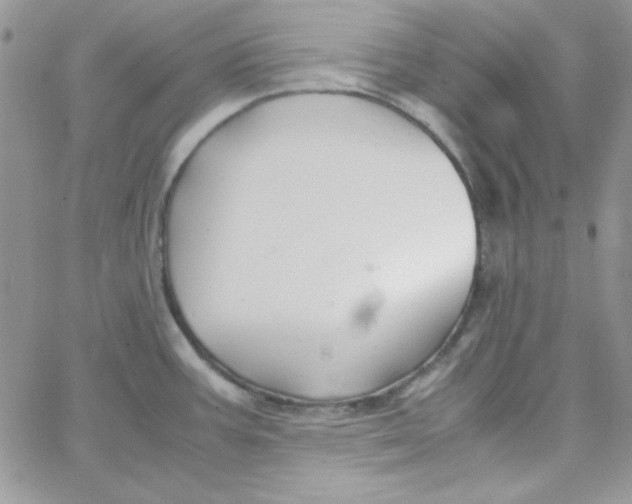 X0000062921387200602031911