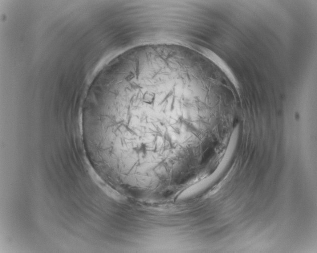 X0000062921388200602031911