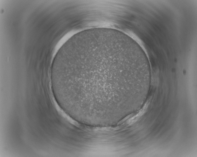 X0000062921389200602031911