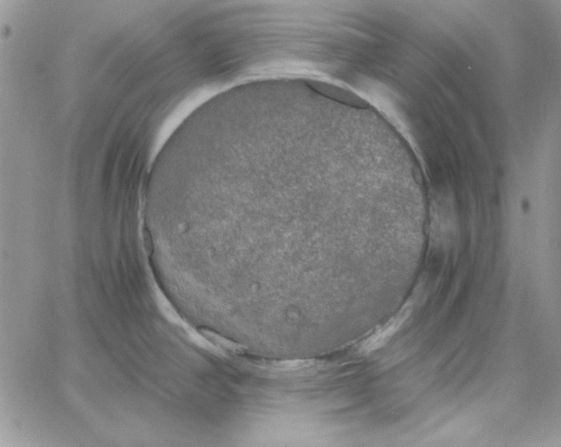 X0000062921390200602031911