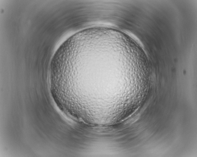 X0000062921391200602031911