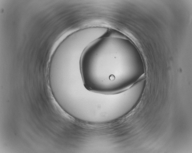 X0000062921392200602031911